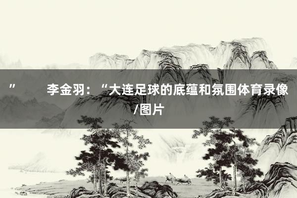 ”        李金羽：“大连足球的底蕴和氛围体育录像/图片