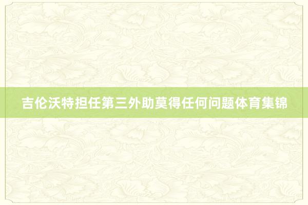 吉伦沃特担任第三外助莫得任何问题体育集锦