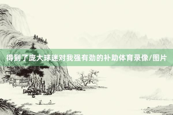 得到了庞大球迷对我强有劲的补助体育录像/图片