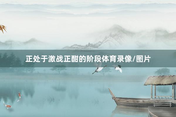 正处于激战正酣的阶段体育录像/图片