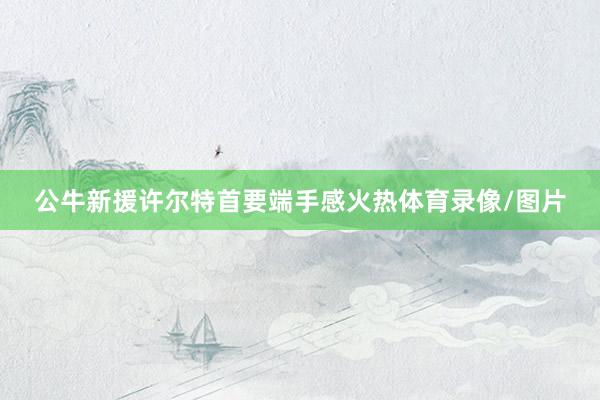 公牛新援许尔特首要端手感火热体育录像/图片