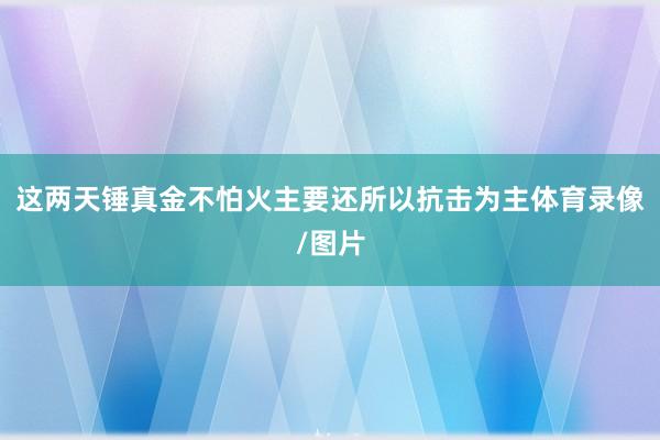 这两天锤真金不怕火主要还所以抗击为主体育录像/图片